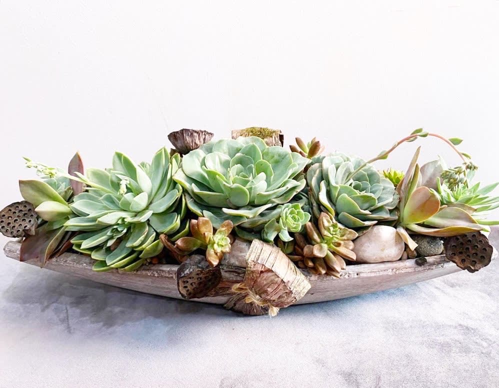 Succulent arrangement in a shallow wooden boat planter