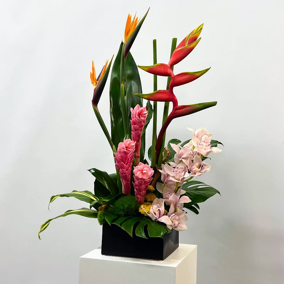 Tropical arrangement with red heliconia, pink ginger, and pale orchids in a black box