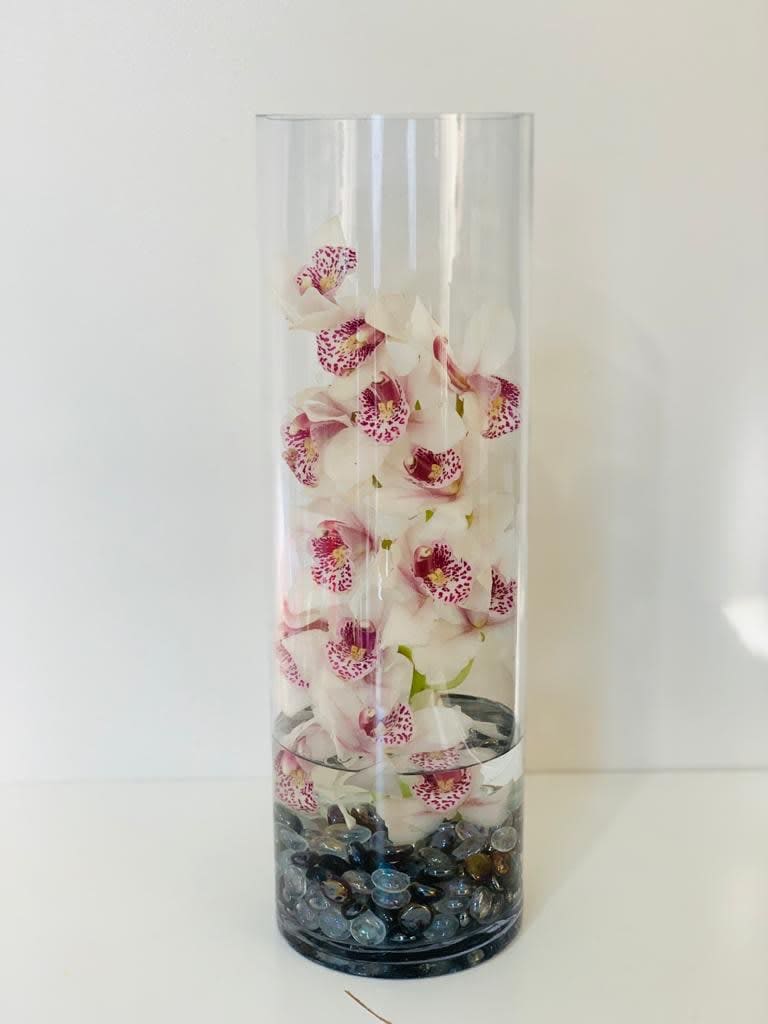 McLean's Modern Orchid - The Cymbidium orchid is considered a gift of lasting respect and friendship. This exotic Cymbidium orchid adds graceful simplicity to any setting, paired with a sleek glass cylinder vase. Perfect for delivering multiple smiles to friends, family and the one who makes your day shine. Colors may vary!
