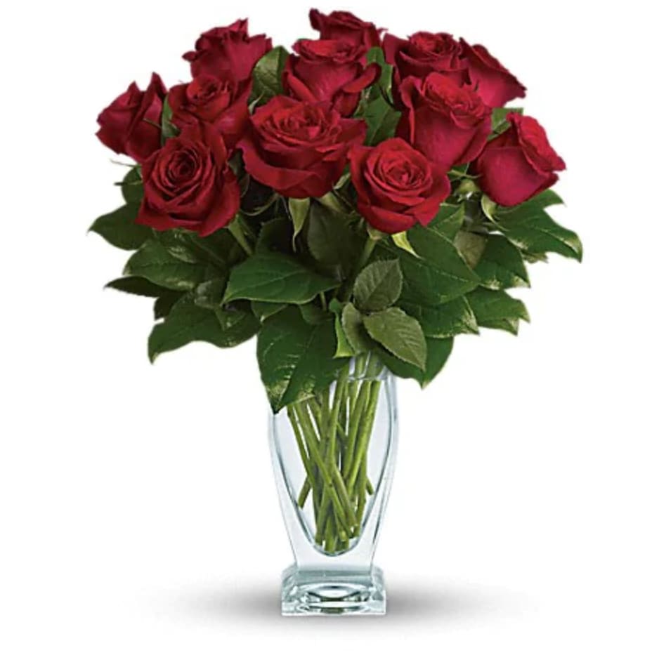 Rose dozen - Roses 1 dozen in a vase