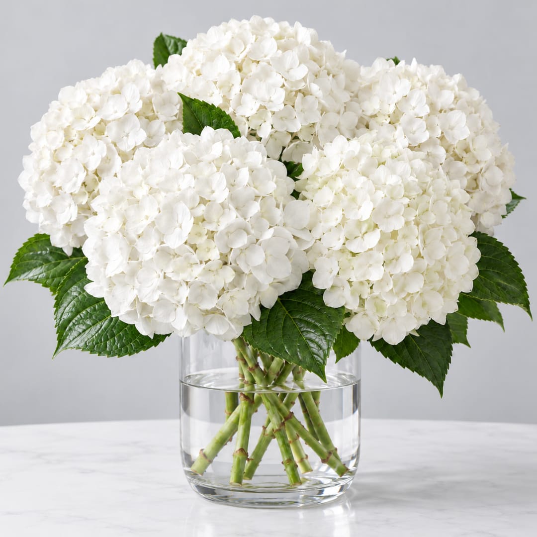 White hydrangea bouquet in a clear glass vase