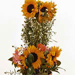 Tall arrangement of yellow sunflowers with pink accents in a container against a light background