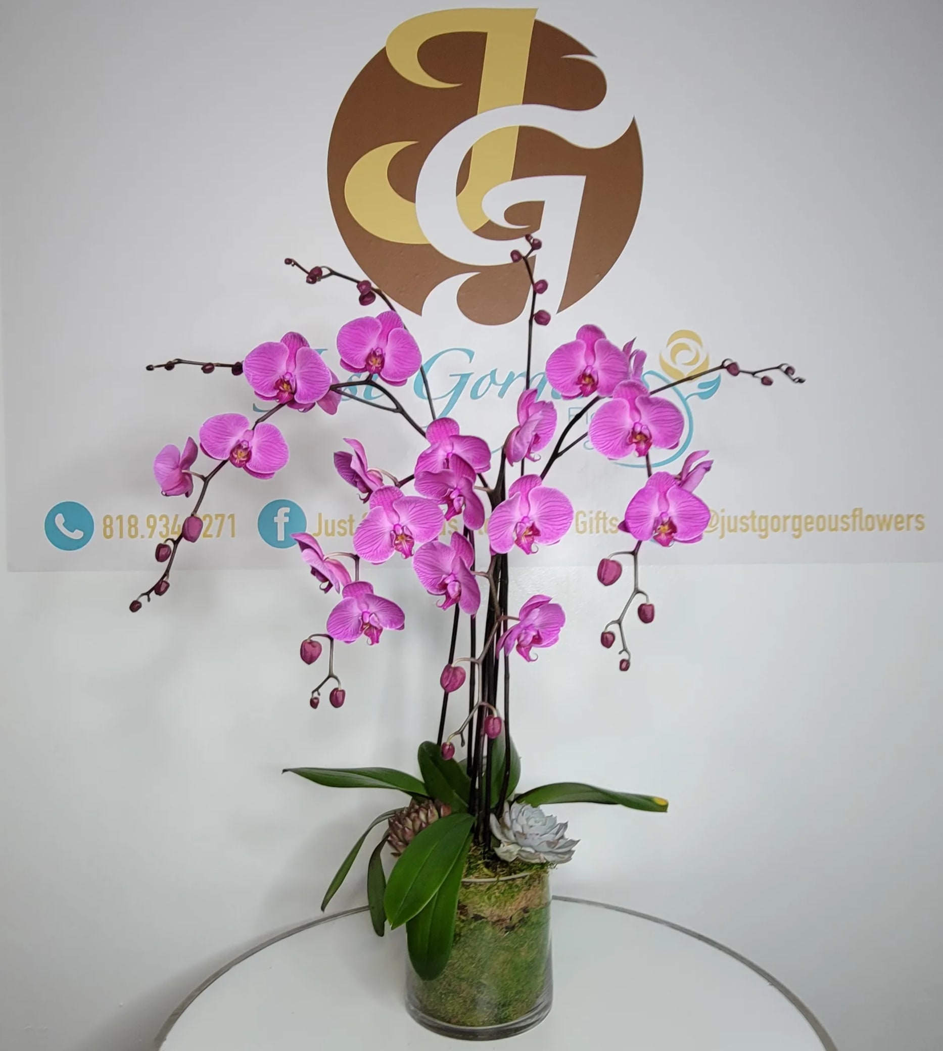 Pink orchids arranged in a glass vase with green leaves