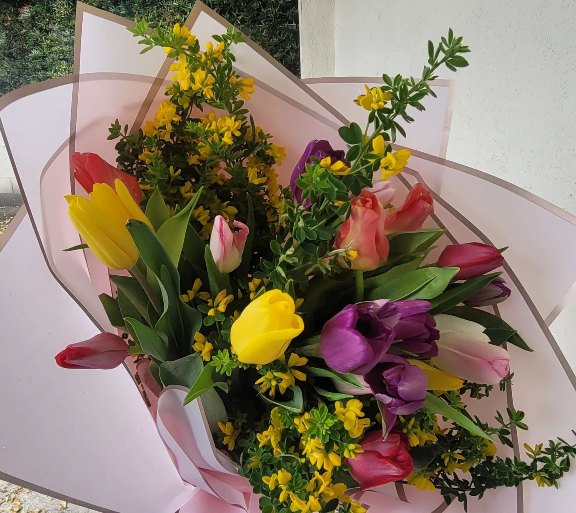 Bouquet of multicolored tulips with yellow filler flowers wrapped in pale pink paper