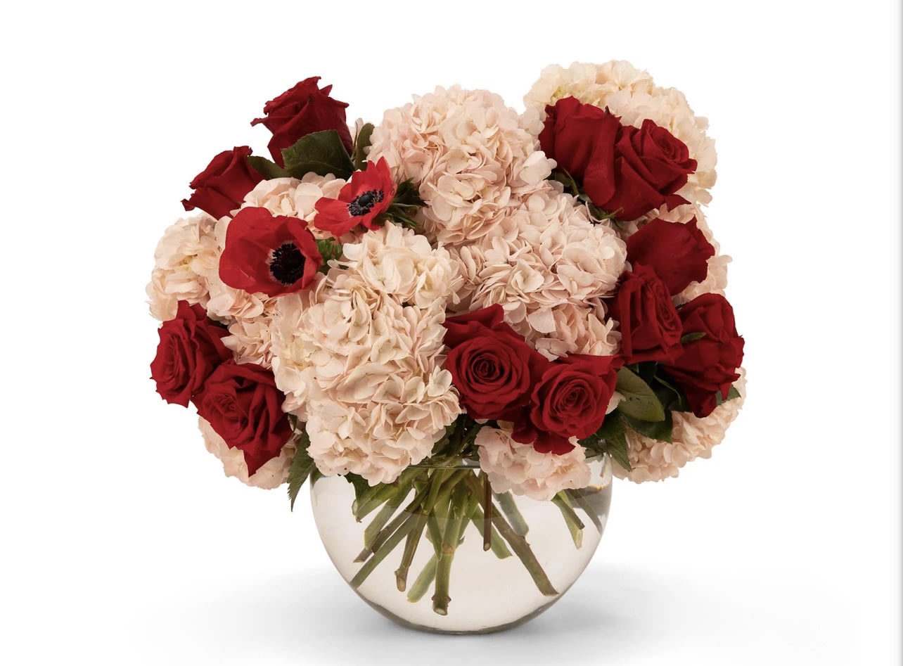 Bouquet of red roses and pale pink hydrangeas in a clear glass vase