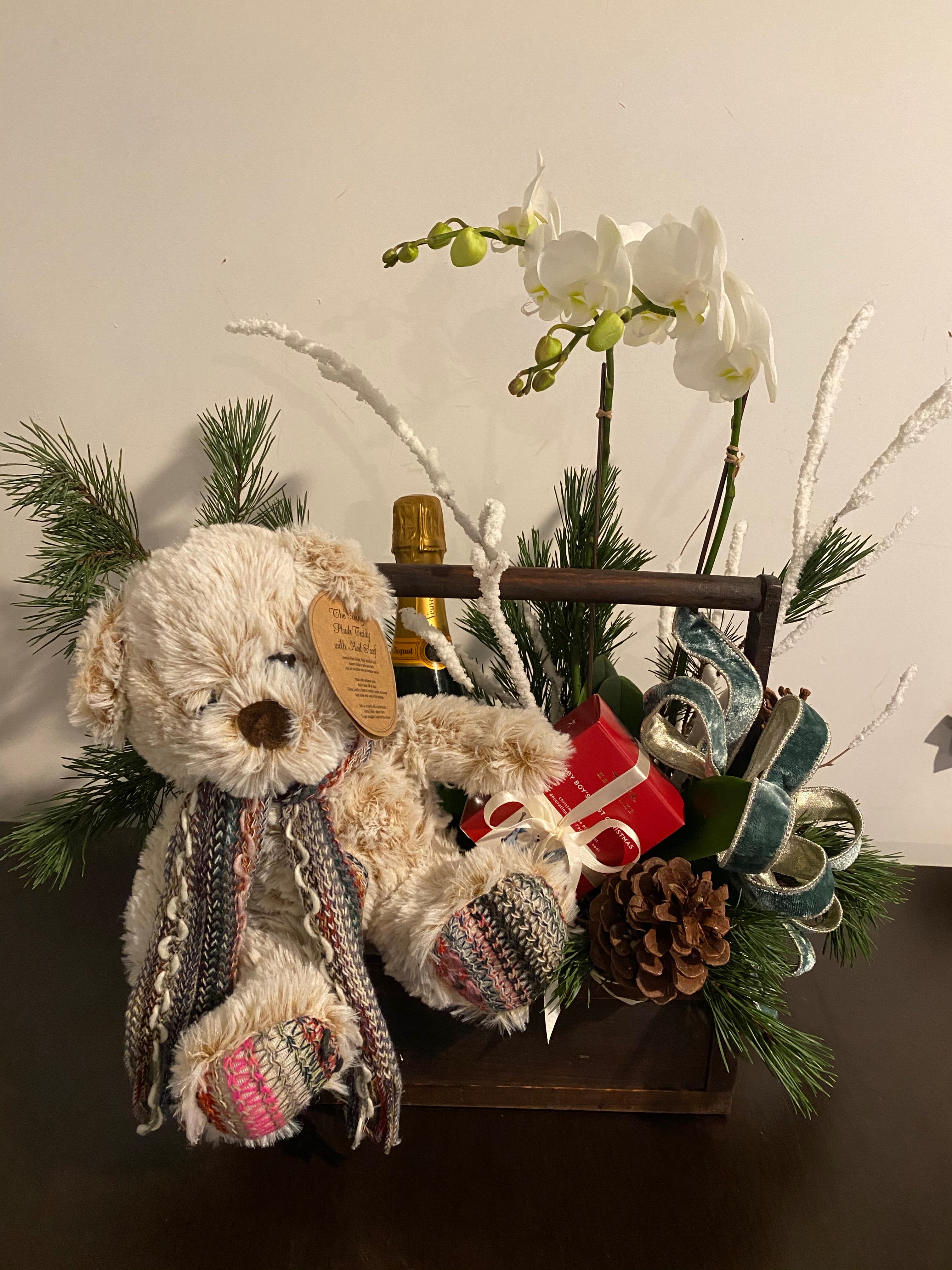Teddy bear gift arrangement with white orchids and holiday accents