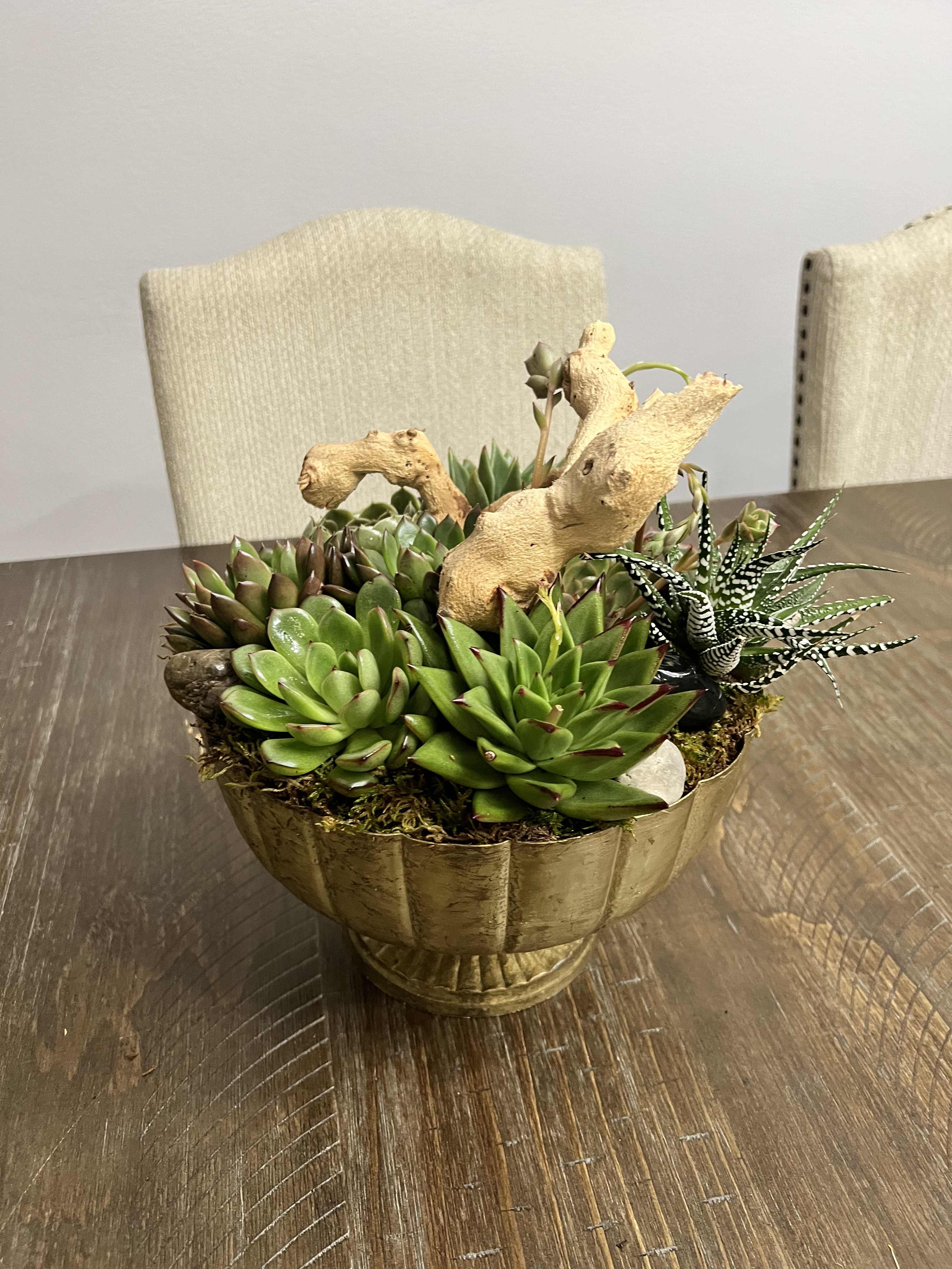 Succulent arrangement in a gold bowl with decorative driftwood