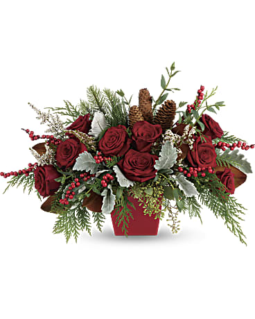 Red roses arranged in a red container with pinecones and berries