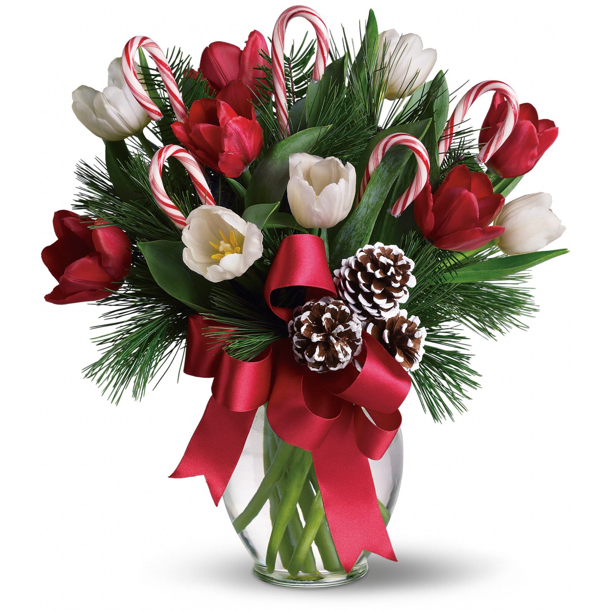 By Golly It's Jolly - Imagine what would happen if you combined everyone's holiday favorites and arranged them in a beautiful Christmas bouquet. The results would be very sweet indeed, as they are in this fantastic gift!  Bright red and white tulips, real candy canes, pinecones and holiday greens in a pretty vase come all wrapped up in a pretty holiday bow.  
