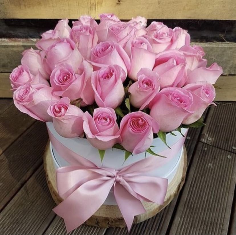 Pink roses arranged in a round box with a satin ribbon