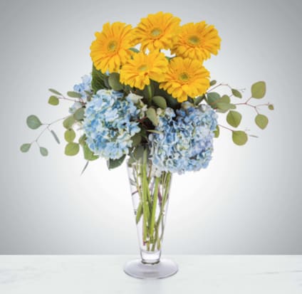 Yellow daisies and blue hydrangeas in a clear glass vase
