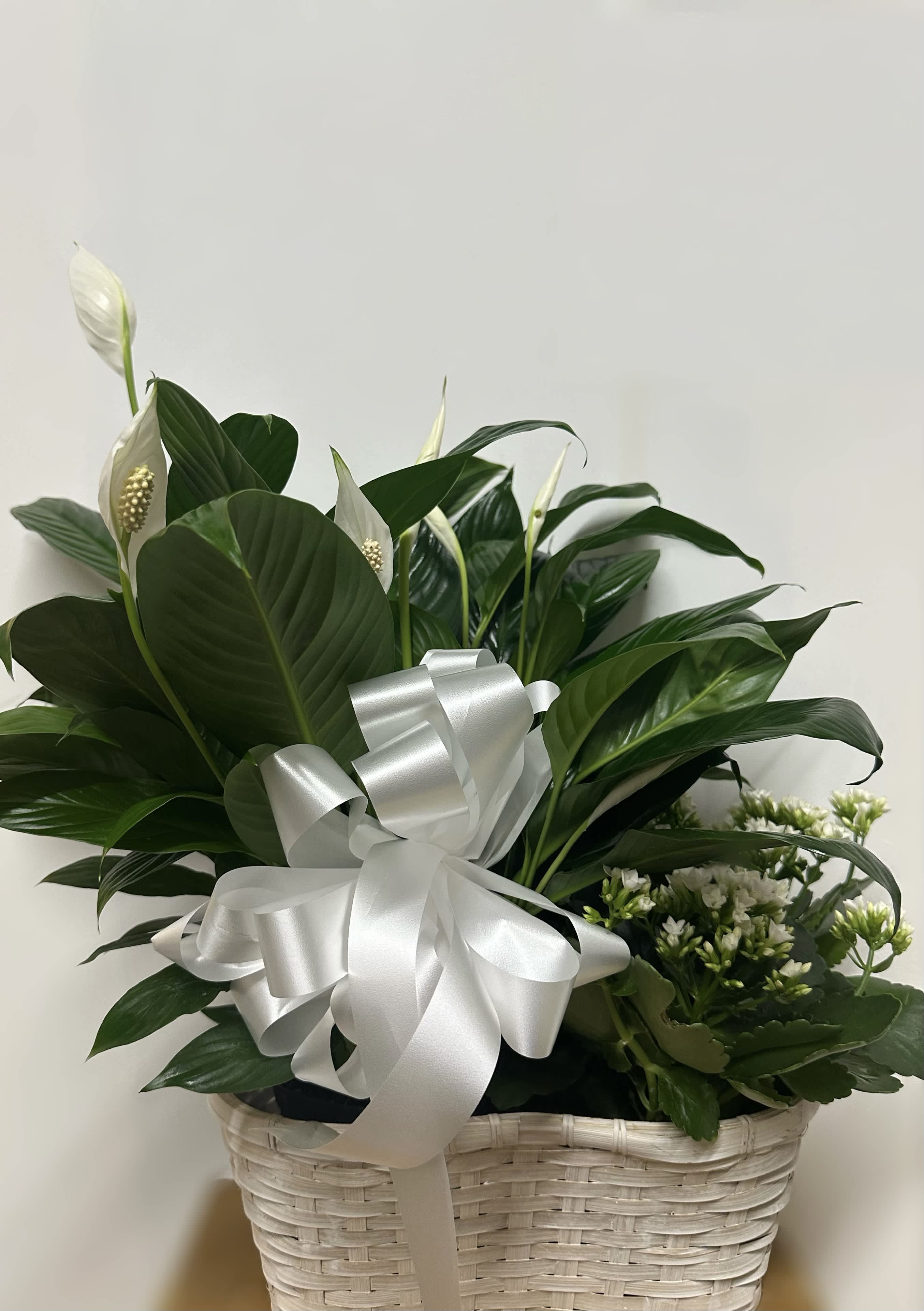 White peace lilies in a wicker basket with a large silver ribbon