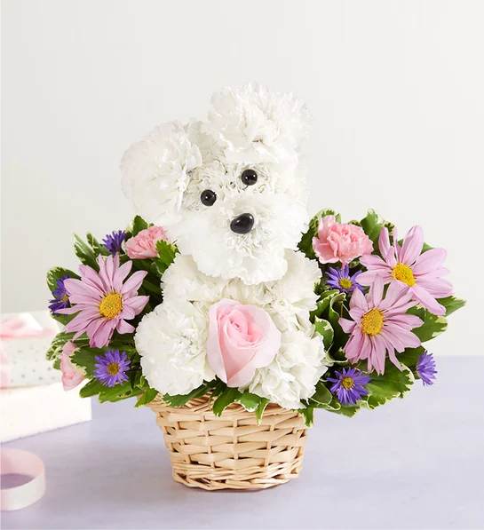 White flower teddy bear in a wicker basket with pink and purple daisies