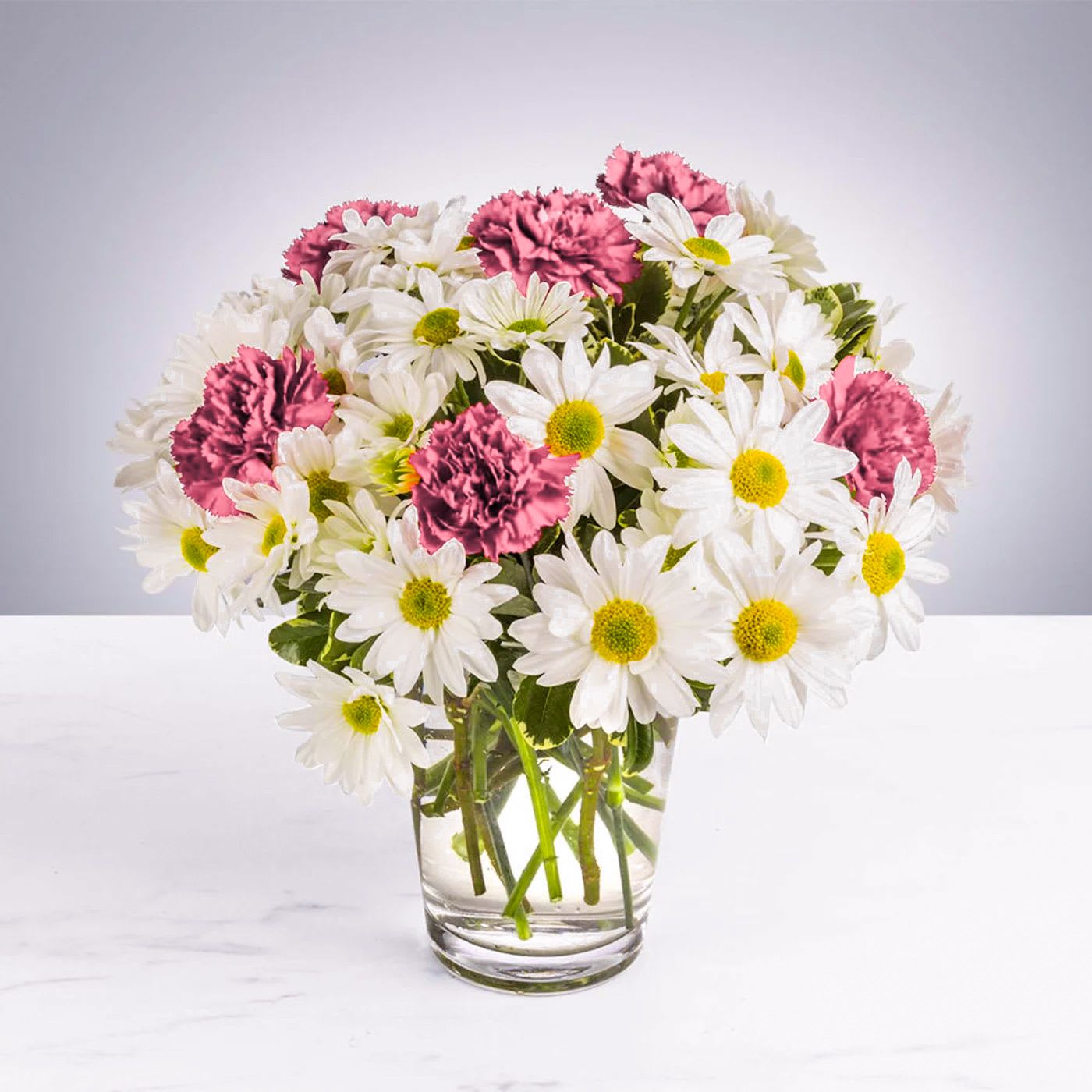 Daisy Crazy by BloomNation™ - A modest gift that will make a lasting impression. Daisy Crazy by BloomNation™ is the perfect gift for a birthday or just to show you care.   Arrangement Details: Includes white chrysanthemum spray daisies, red carnations, and assorted greenery. APPROXIMATE DIMENSIONS: 12" H X 12" W