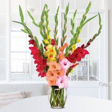 Tall mixed bouquet in a clear glass vase with red, yellow, orange, and pink flowers