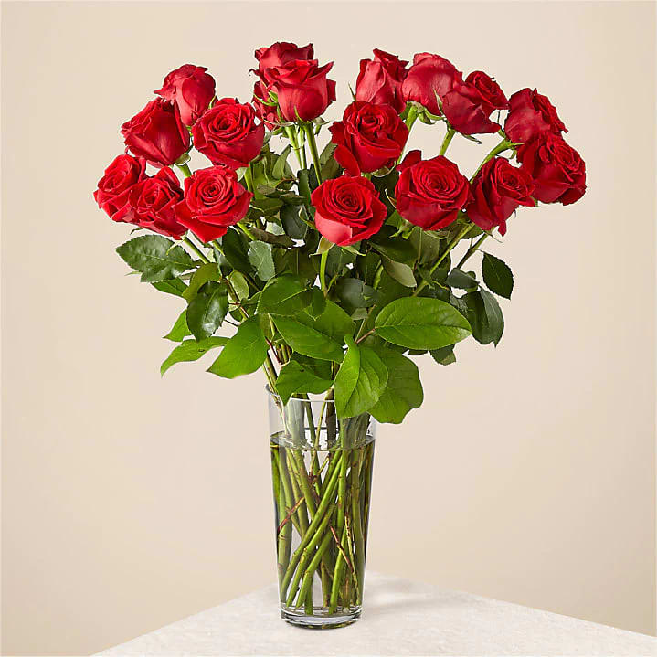 Red roses arranged in a clear glass vase