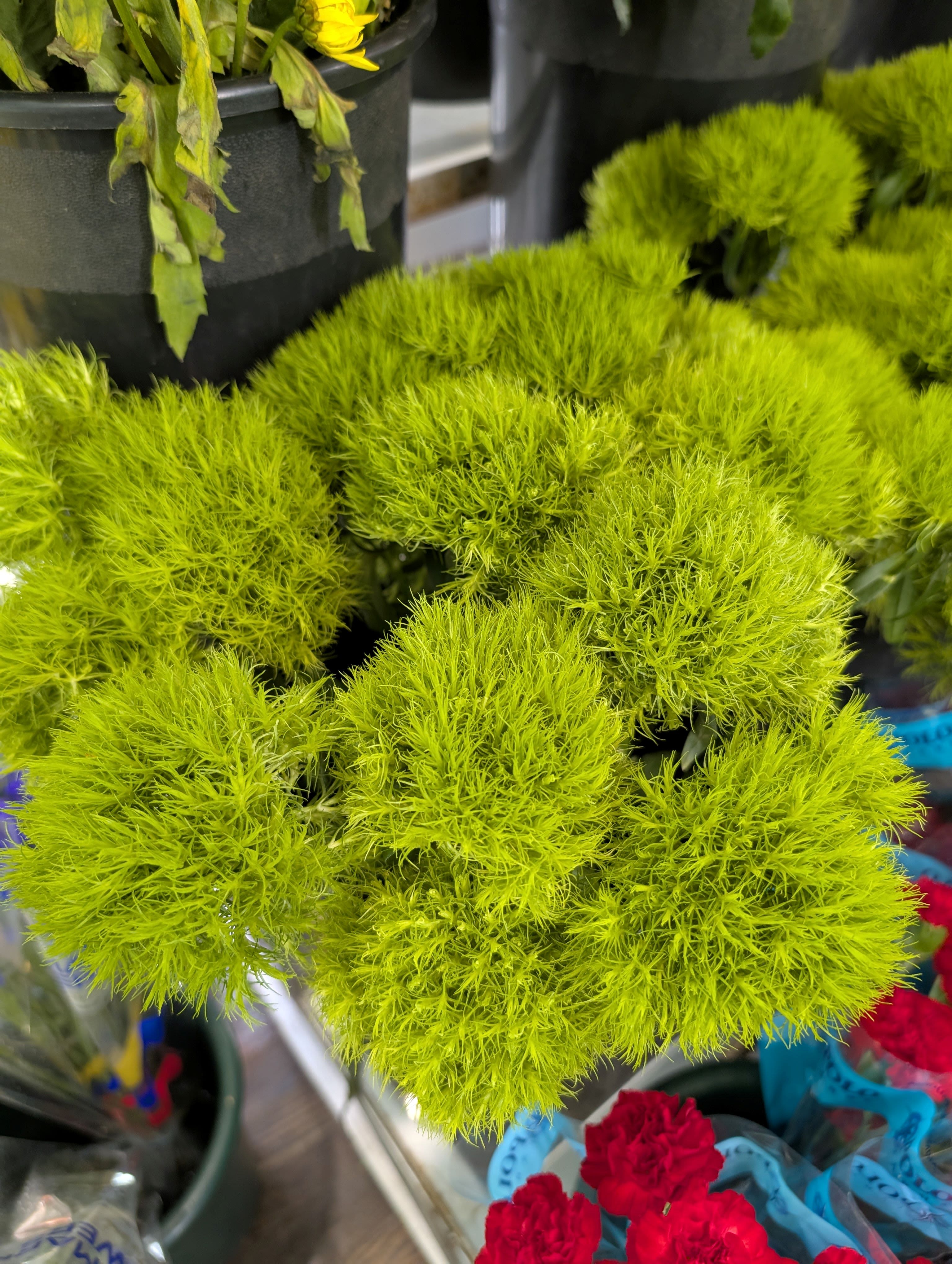 Bright green fluffy flower clusters in a market display
