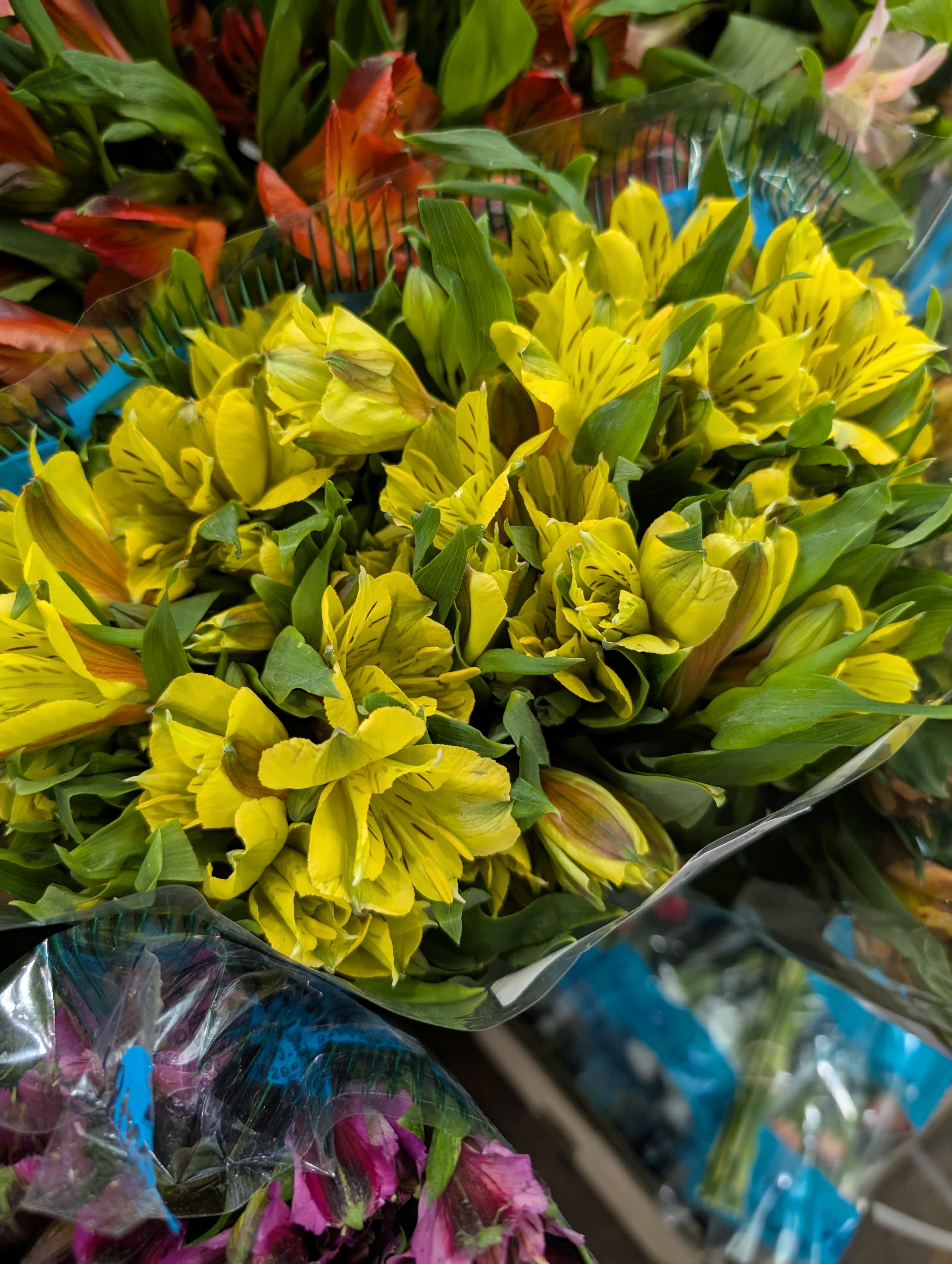 Bouquet of yellow alstroemeria flowers wrapped in clear plastic