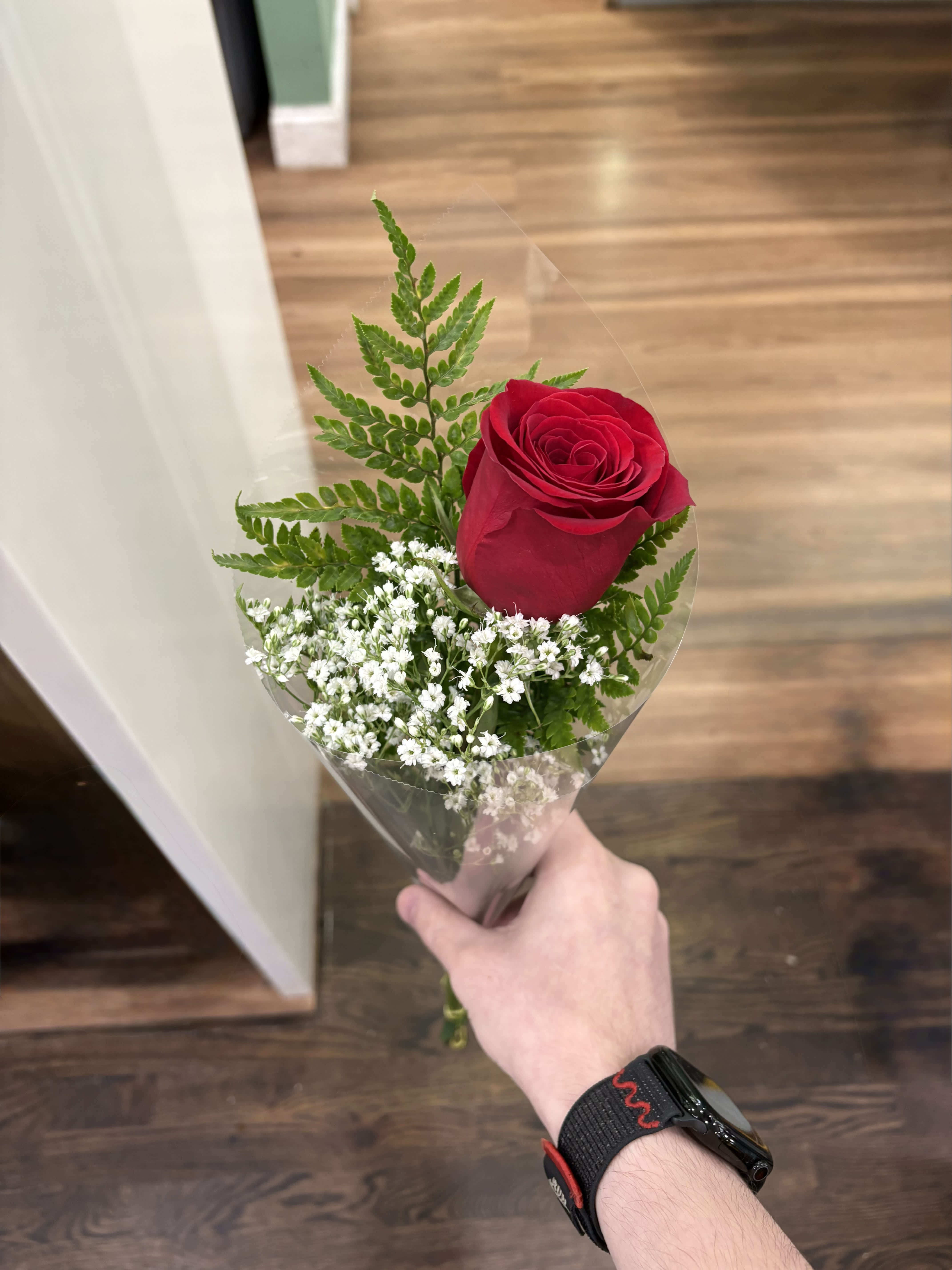 Single red rose bouquet with baby's breath in clear wrap