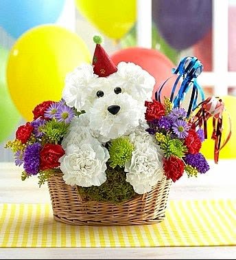 White teddy bear in a basket surrounded by colorful flowers and balloons