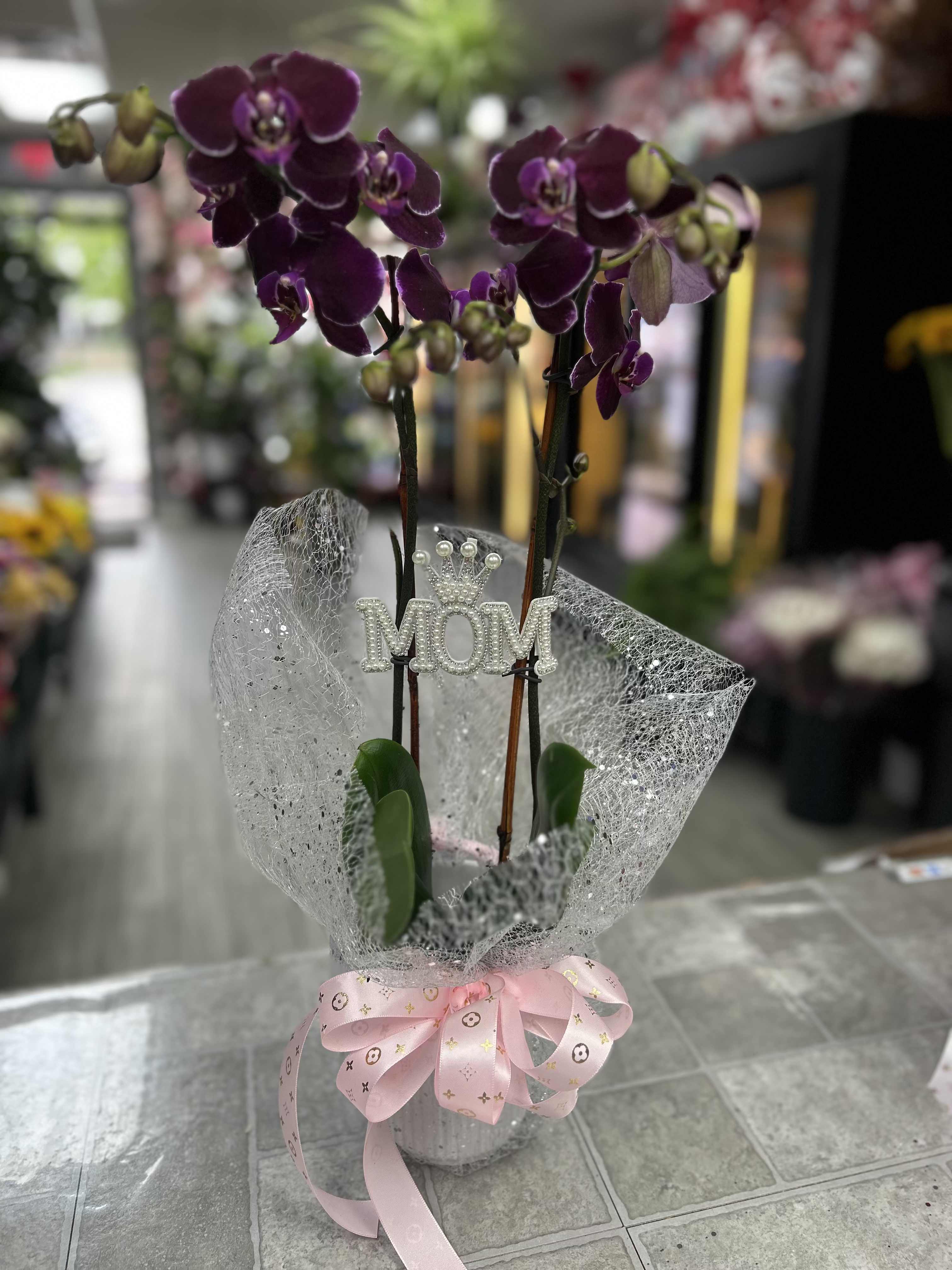 PHALAENOPSIS ORCHID  - Deep purple Phalaenopsis orchids-each bloom rich and velvety-rise from a compact pot to create an elegant potted arrangement perfect for Mother's Day, a birthday, or a heartfelt thank-you. The upright, arching stems and glossy green leaves give a refined, lasting impression that will make the recipient feel truly celebrated and seen.  This gift-ready orchid is wrapped in an airy silver mesh and clear plastic, finished with a pale pink satin ribbon and a pearl-like "MOM" decorative pick at the center for an extra touch of sentiment. Unopened buds promise days of additional blooms; the compact pot and neat presentation also make it suitable for housewarming or as a polished desk accent.  Place in bright, indirect light and keep the potting mix lightly moist-this low-maintenance orchid is ideal for someone who appreciates lasting beauty without fuss. Available in a small, giftable size that ships ready to display, it's an effortless way to send warmth and appreciation.