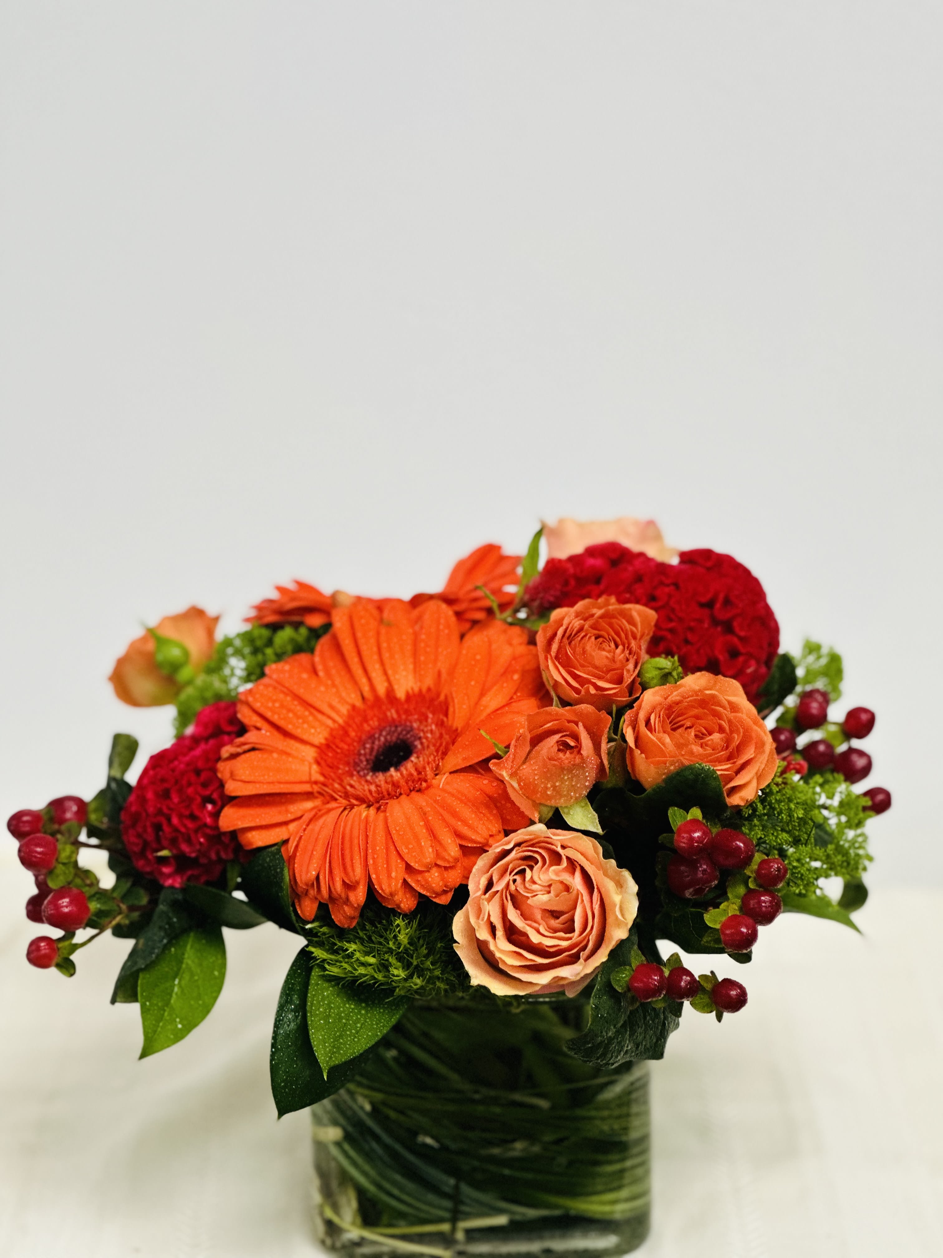 Dazzling Delight - Delight someone special, including yourself, today! Featuring a 'Razzle Dazzle' rose, Gerbera daisy, red hypericum and more!