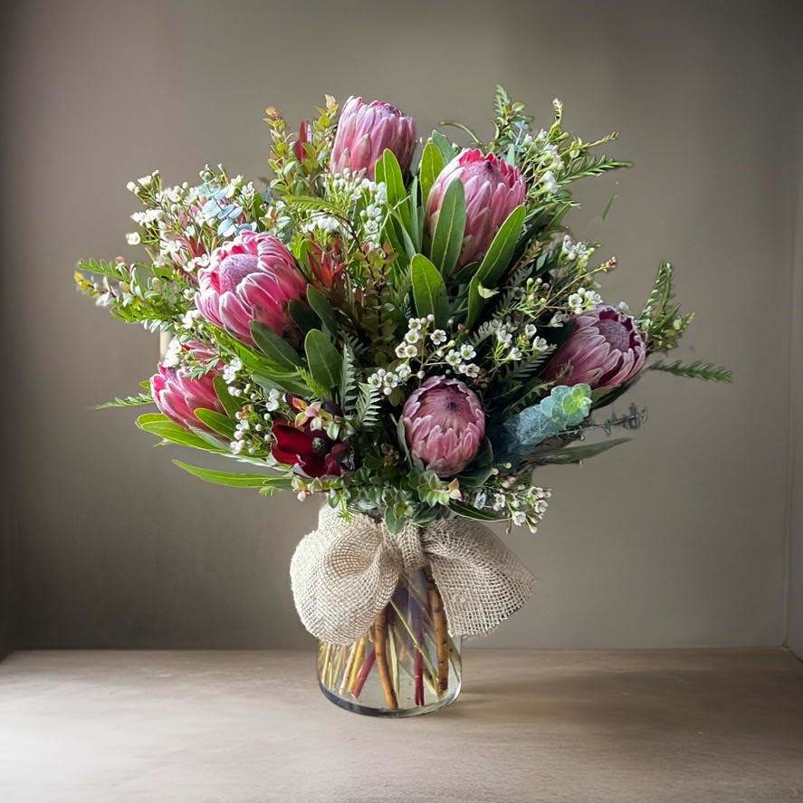 Anschion Bouquet - Regal and exotic, this bouquet of Pink Protea commands the room. Protea are native of South Africa and are recognized as their National Flower. They symbolize 'a beauty that stands out'. Even surrounded by White Wax Flowers, Eucalyptus, Myrtle and Grevillea Ivanhoe - its clear their beauty does in fact stand out. Designed in a clear cylinder vase tied with a natural jute ribbon.   *Please remember that the photos depict a sample arrangement in an overall design style. There are no guarantees that your gift arrangement will look identical to these photos. Tama will do her very best to duplicate the arrangement exactly.