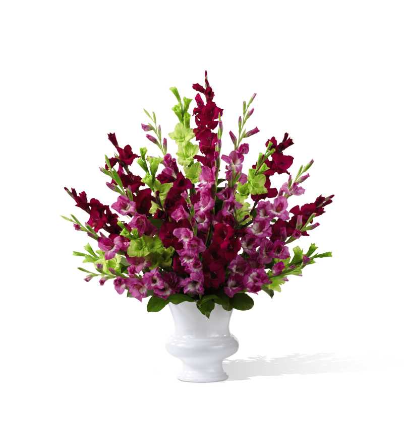  Solemn Offering Arrangement - Solemn Offering Arrangement is a bright and beautiful way to say your final farewell. Fuchsia, magenta and jade gladiolus are accented with lush greens and displayed in a white plastic urn to commemorate the life of the deceased with fantastic color and elegance.