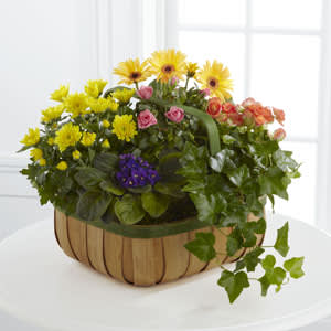 Mixed bouquet in a wooden basket with yellow daisies and pink, orange, and purple blooms