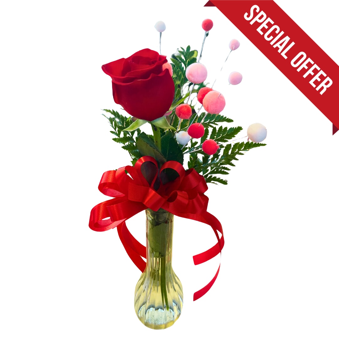 Single red rose in a glass vase with a red ribbon