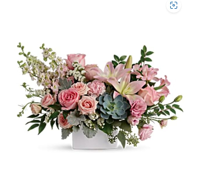 Hello Beautiful ( TelaFlora )  - This feminine bouquet includes light pink spray roses, light pink asiatic lilies, pink alstroemeria, pink carnations, pink larkspur, white sinuata statice, dusty miller, israeli ruscus, huckleberry, seeded eucalyptus, lemon leaf, and a large green potted echeveria succulent.
