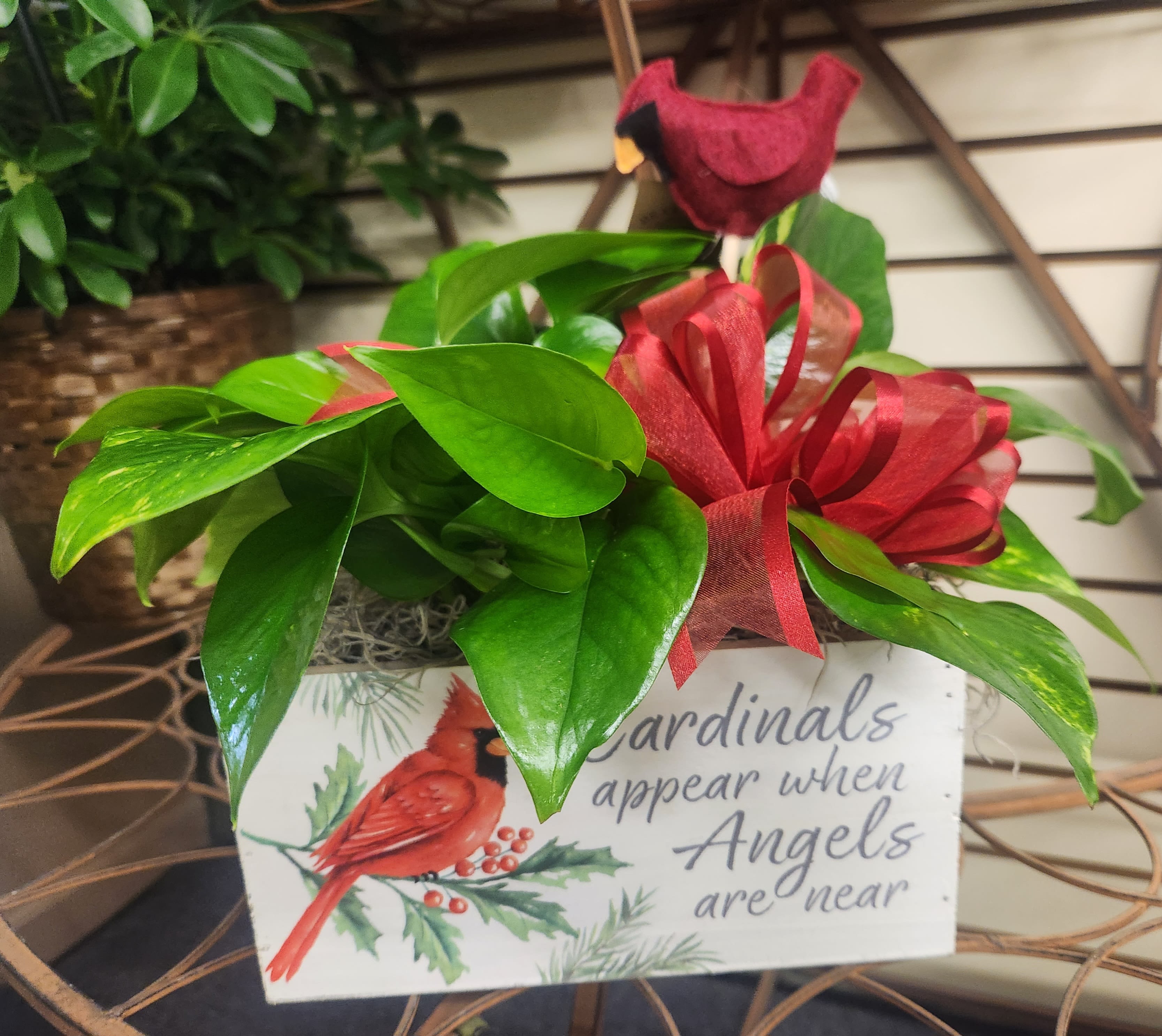 Potted plant with red ribbon and cardinal-themed sign