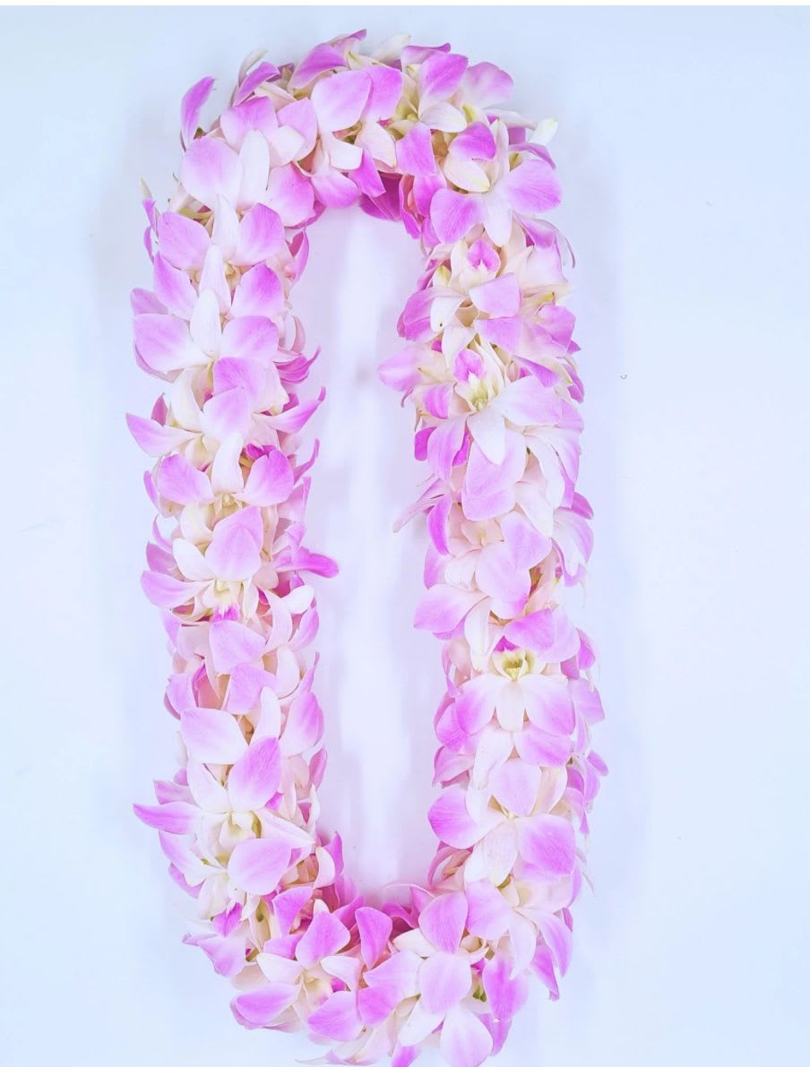 Blush pink Double Orquid Lei - A lush double orchid lei woven from densely strung pink and white blossoms-perfect as a celebratory flower arrangement or wearable gift for birthdays, graduations, anniversaries, and special ceremonies. The soft pastel gradient of pink to white creates an airy, tropical look that immediately reads as both festive and elegant, the kind of piece that makes the person you're thinking of feel honored and celebrated.  Handcrafted with fresh orchids tightly arranged into a long double loop, the lei offers a layered, petal-rich texture that feels soft against the skin and looks impressive when draped or displayed. The clean, ceremonial presentation keeps the focus on the delicate blooms and their gentle color shift; it's a versatile choice for someone who loves refined, island-inspired florals.  Ideal for gifting at milestone moments or for guest-of-honor wear, this lei arrives ready to place around the recipient's shoulders or to showcase on a simple hook for a dramatic entrance. To keep it looking its best, present it close to the event time and store lightly chilled if needed-its fresh orchids will reward that care with lasting beauty.