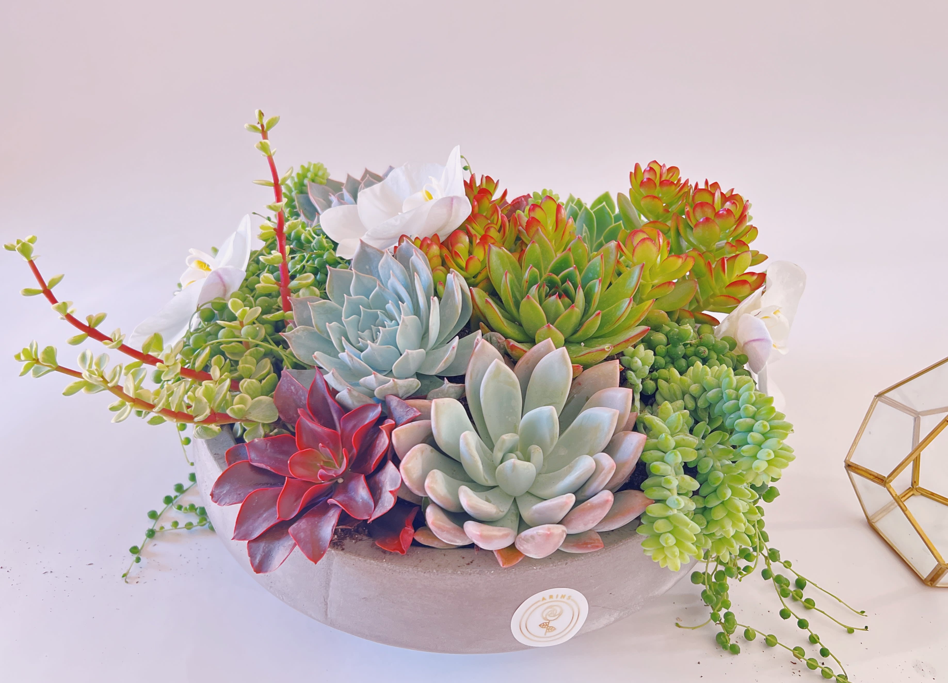 Chic Succulent Garden  - Everybody loves succulents! Send them to brighten up new office or home. Perfect for Father's Day or to celebrate a new job.
