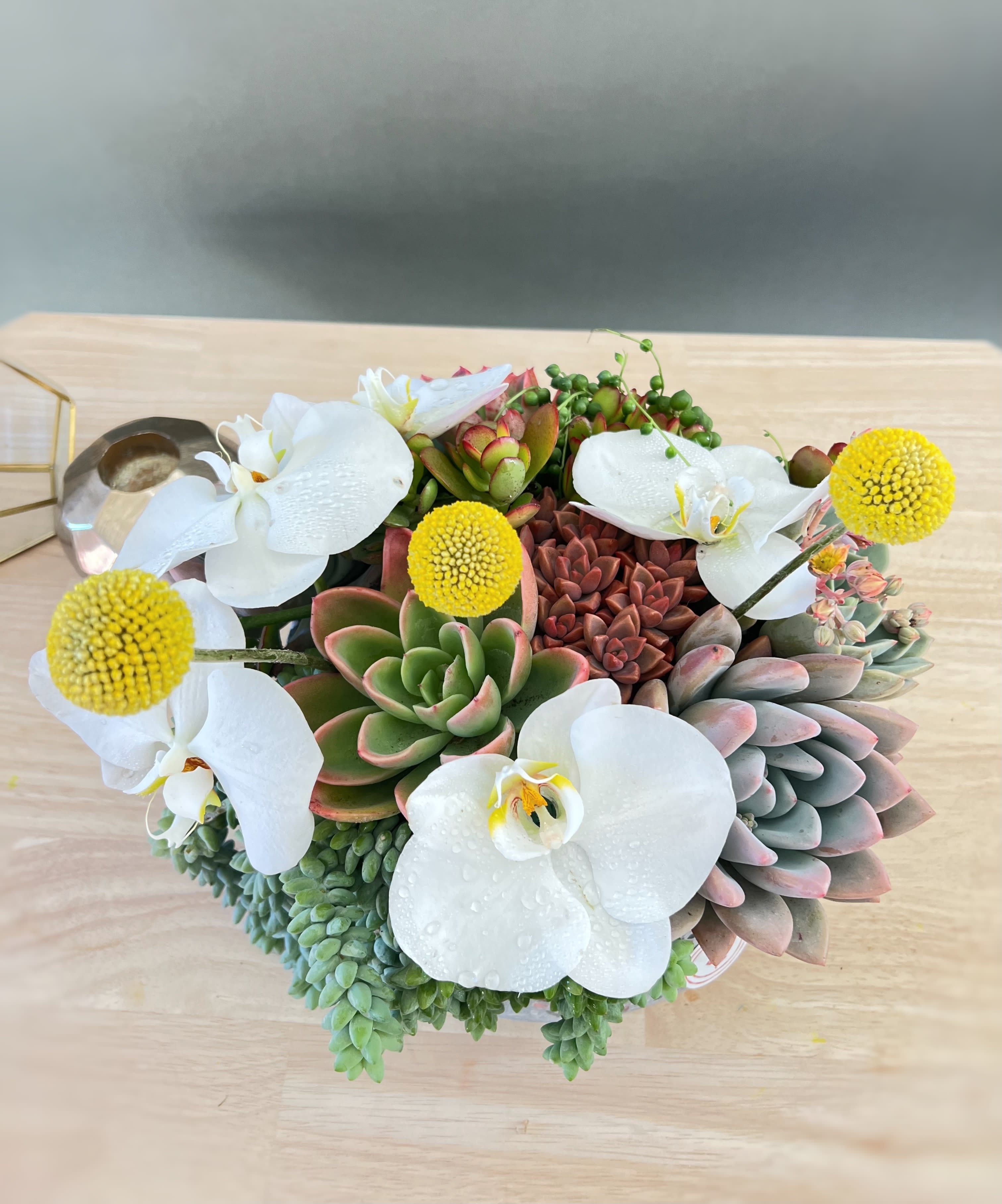 Succulent arrangement with white orchids and yellow pom-pom flowers