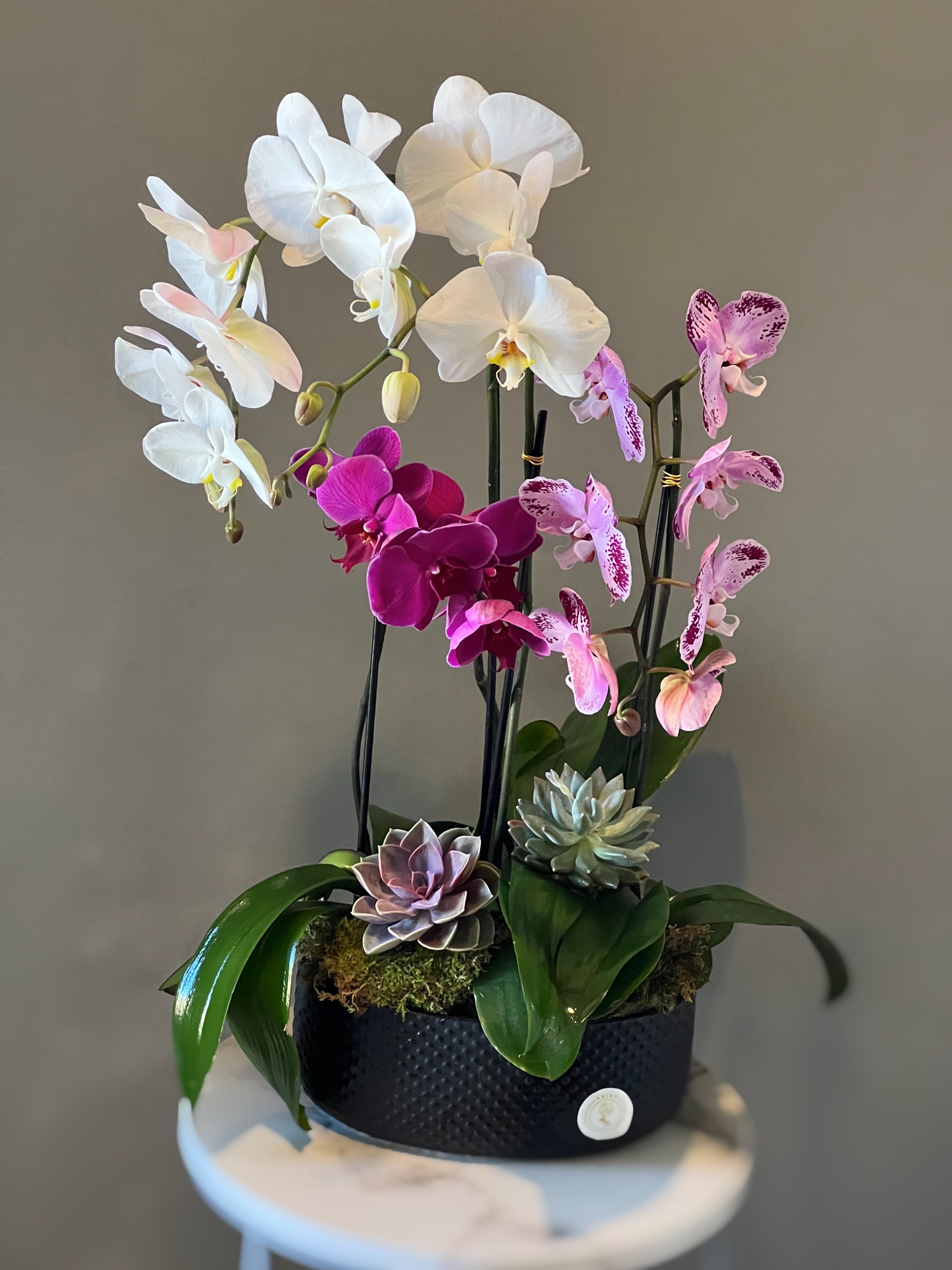 Orchid arrangement with white, pink, and purple blooms in a black container