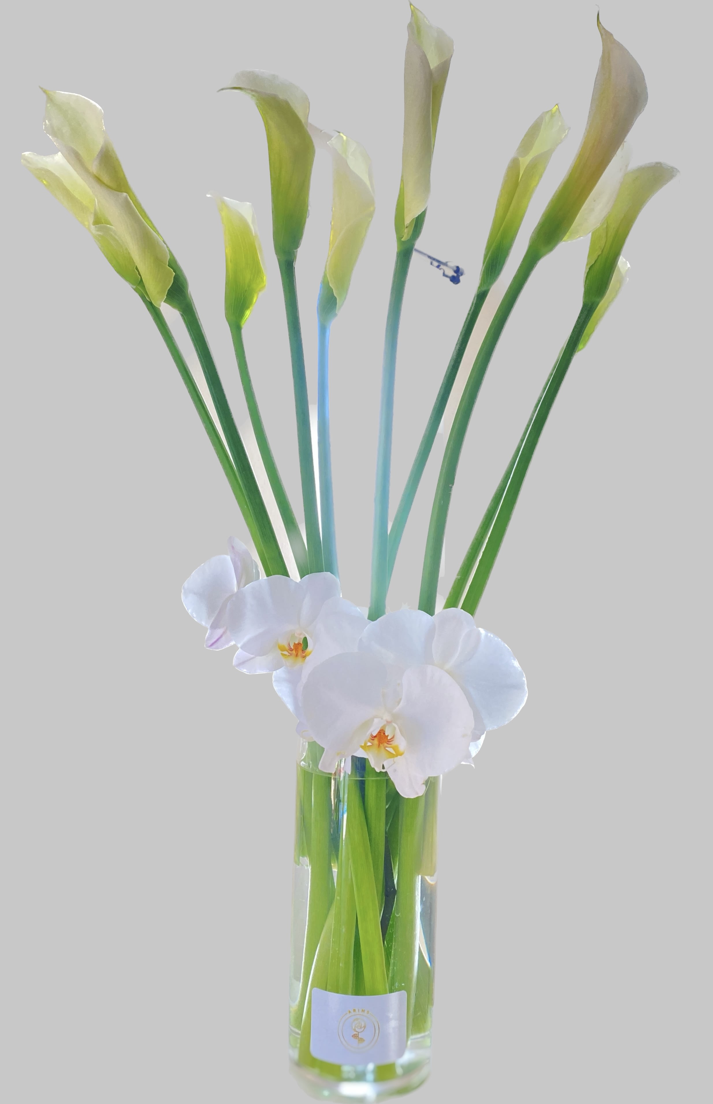 White orchids and tall green calla lilies in a clear glass vase