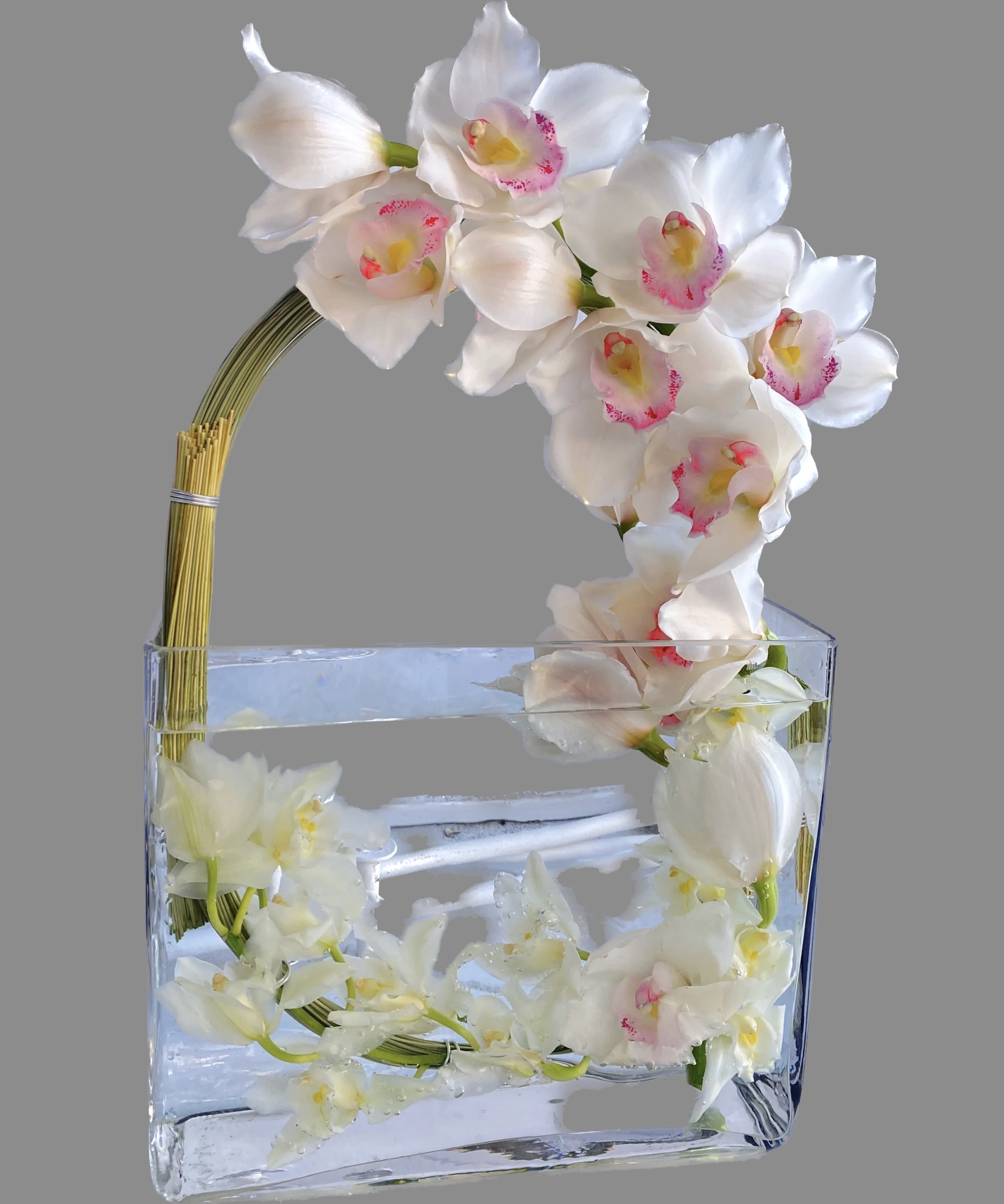 White orchids arranged in a clear rectangular vase with water