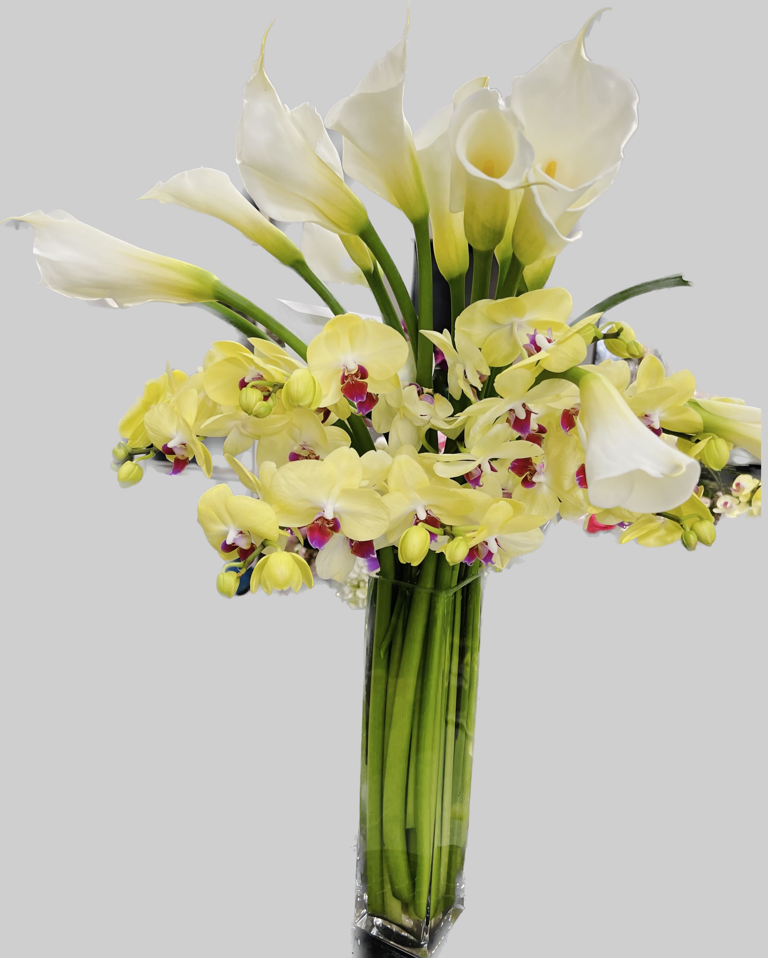 Yellow orchids and white calla lilies in a tall glass vase