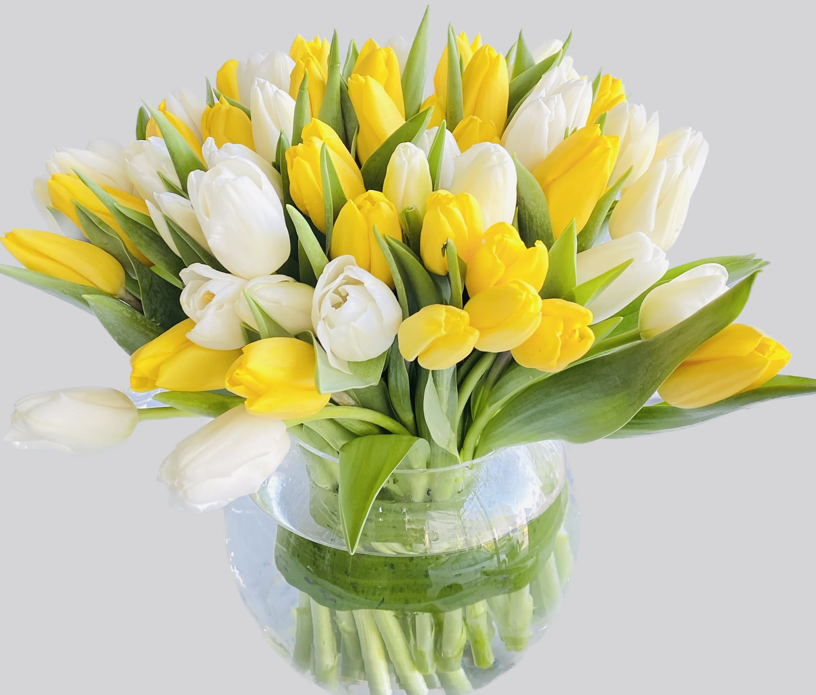 Bouquet of yellow and white tulips in a clear glass vase