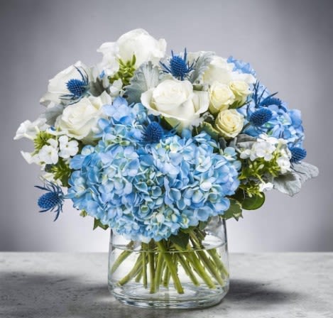 Coastal Blue Elegance by Art and Flowers -  Coastal Blue Elegance This floral design features a serene, cool-toned palette anchored by lush clusters of soft blue hydrangeas. Crisp white roses add a classic, refined touch, while accents of blue eryngium introduce texture and a subtle coastal feel. Delicate white filler flowers and silvery foliage create contrast and movement, enhancing the airy, garden-inspired style. Arranged in a clear glass vase, the visible stems add a natural, organic element, completing a fresh and sophisticated composition perfect for elegant or seaside settings. 