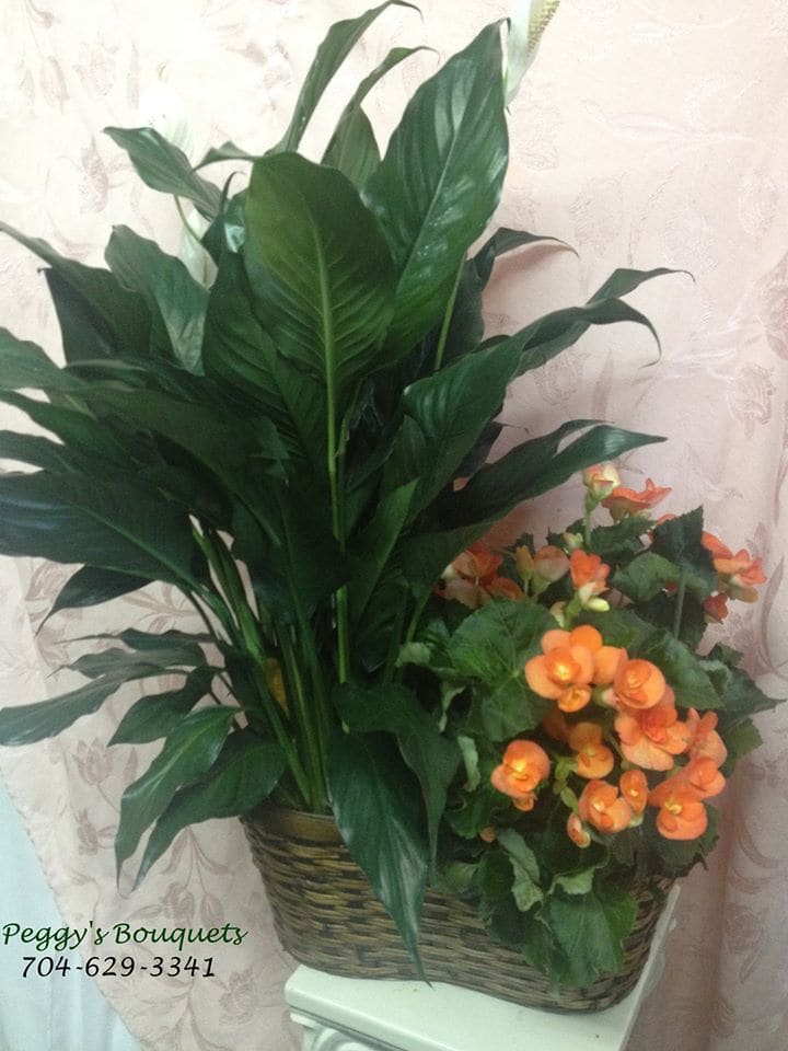 Potted green plant with orange flowers in a woven basket