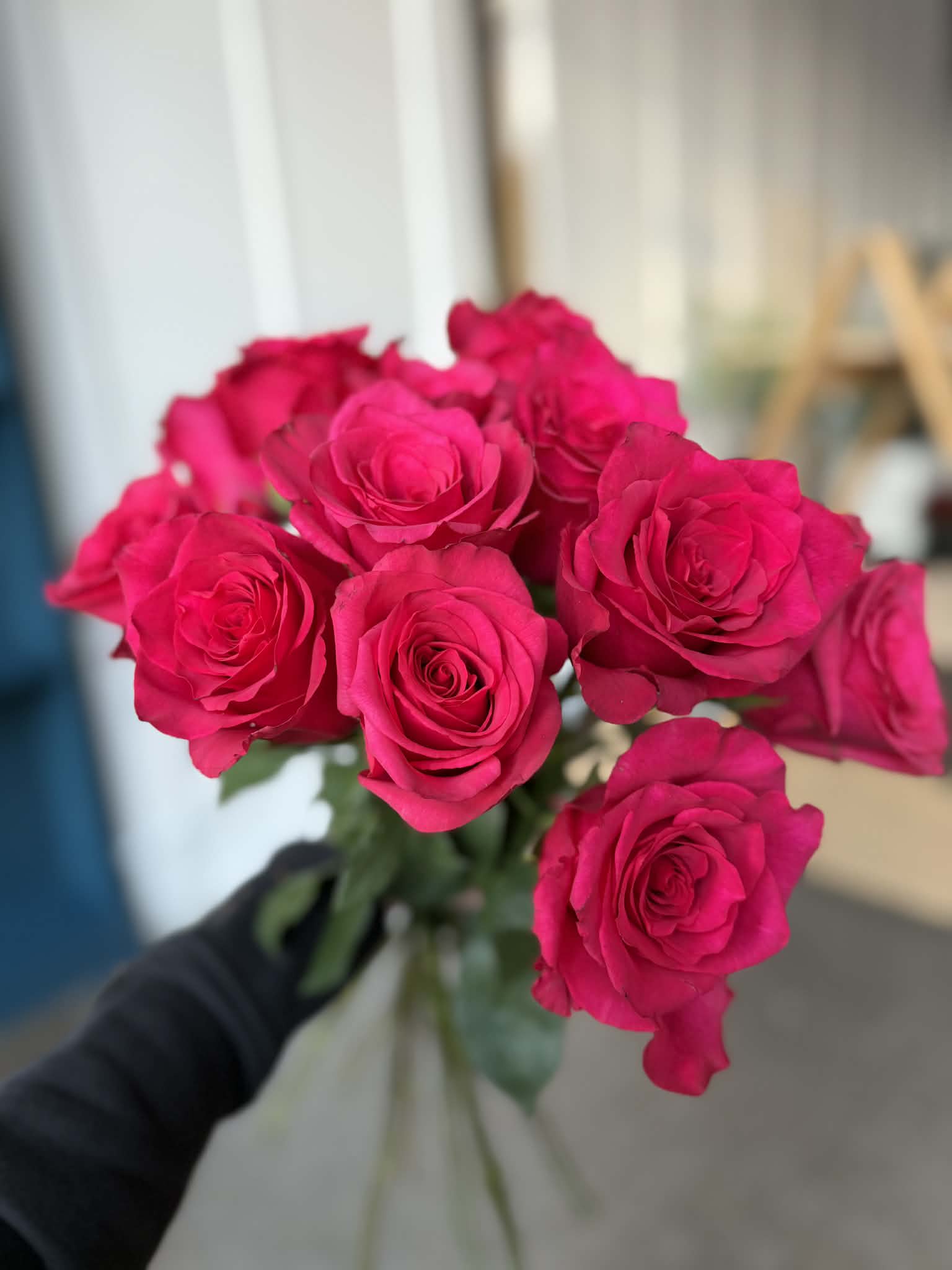Hot Pink Explorer Roses in a Vase - Vibrant, joyful, and full of personality, our Hot Pink Explorer Roses are a bold expression of love and admiration. Known for their bright pink hue and full, beautifully shaped blooms, Explorer roses bring a fresh and playful energy to Valentine’s Day.  Designed in a glass vase with fresh seasonal greens and subtle filler, this arrangement feels modern, romantic, and uplifting — perfect for celebrating love in all its forms.