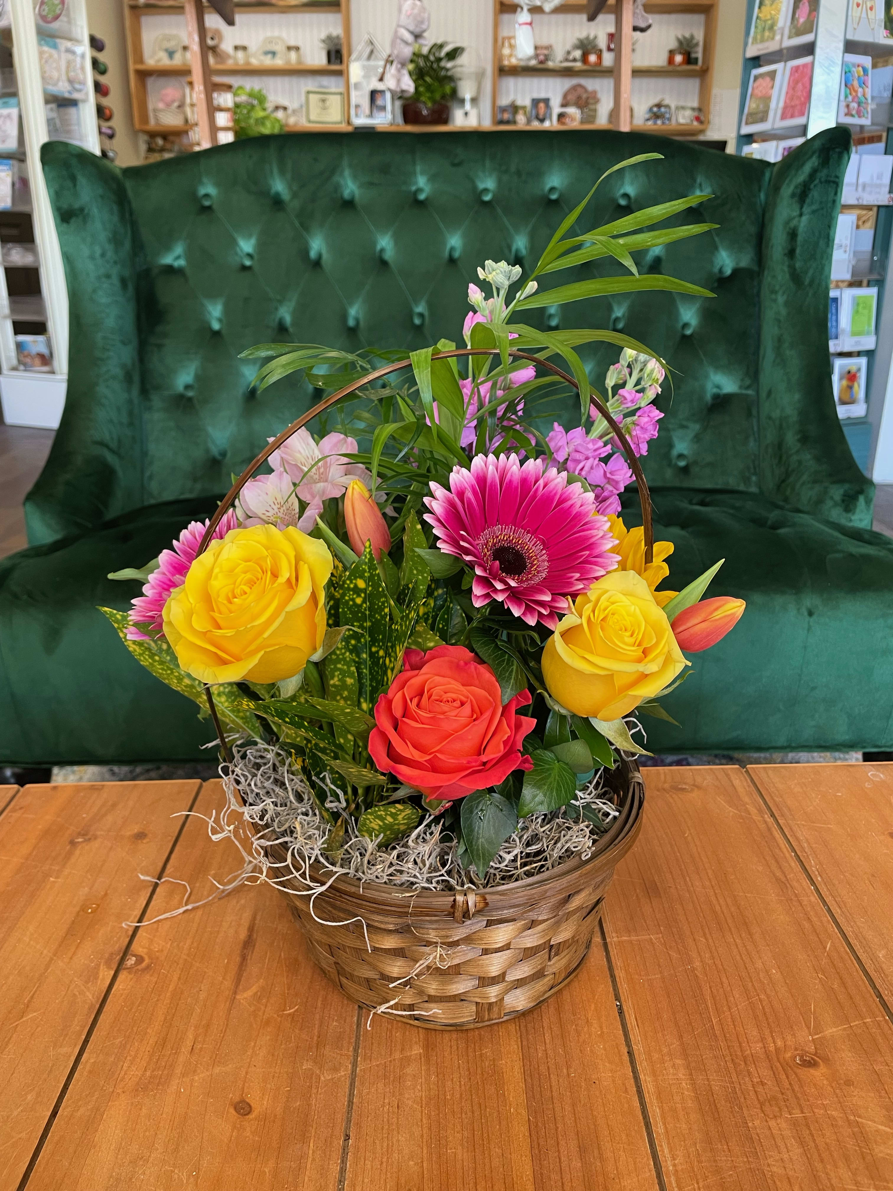 8" Dish Garden Basket With Cut Flowers - *CUT FLOWERS VARY BASED ON STOCK* A cute basket of assorted plants with a pop of color! A mixture of our best springtime flowers of the day will be added to your basket. If you have any specific colors or flowers you'd like included, please write them in Special Instructions and we will do our best to include them for you!