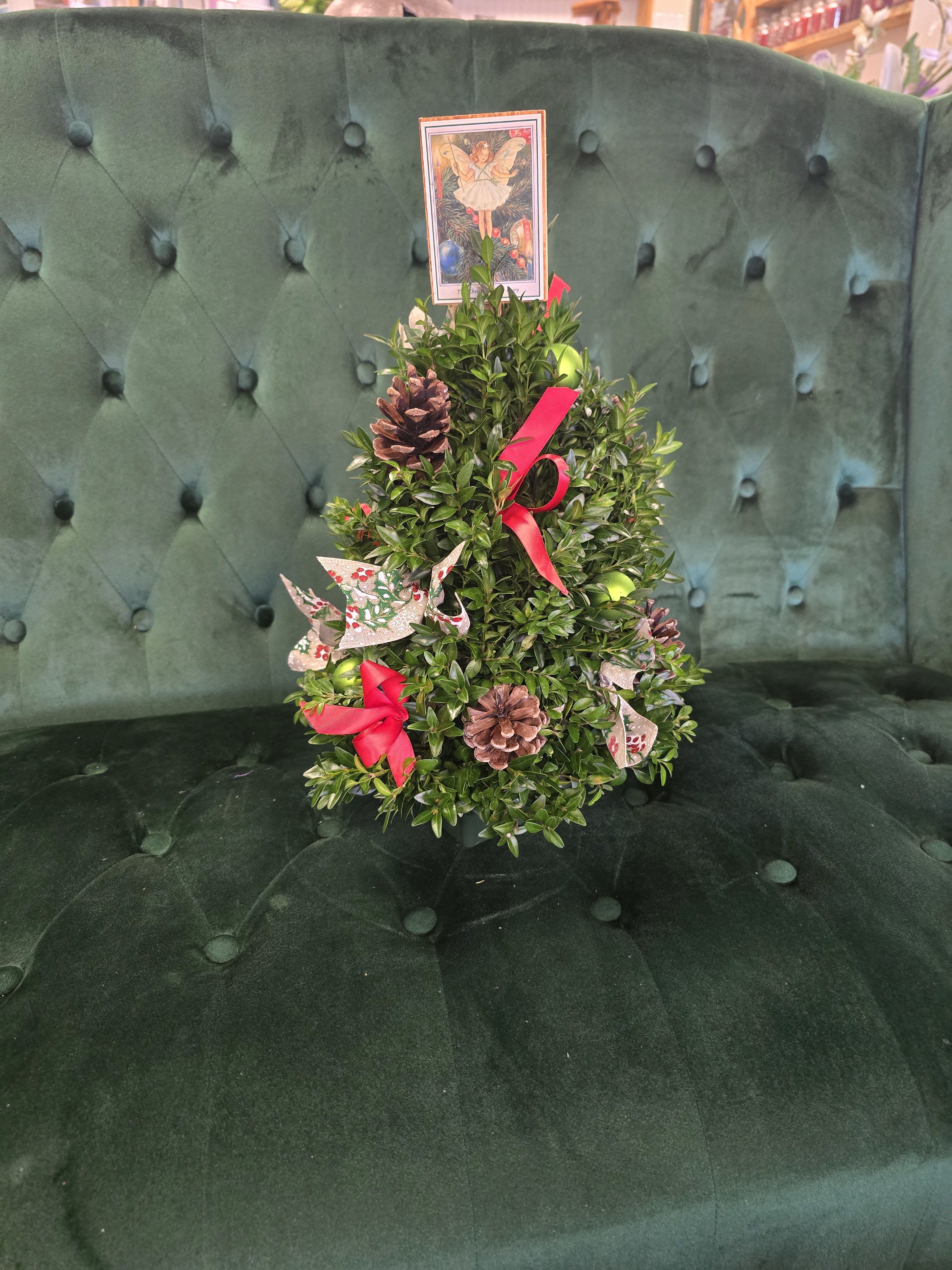 Boxwod Tree -  Standard is 12" - 14" Boxwod tree with decoations.  Deluxe is 18 15" - "17Boxwood tree with decorations.   Premium is 18"- 20" Boxwood tree with decorations.  