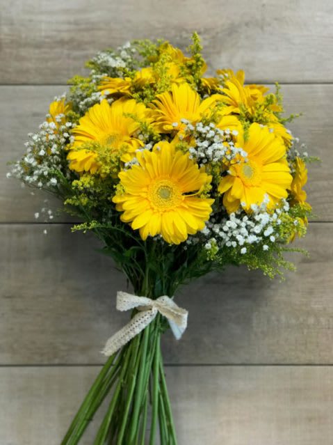 Bouquet of yellow gerbera daisies with small white filler flowers