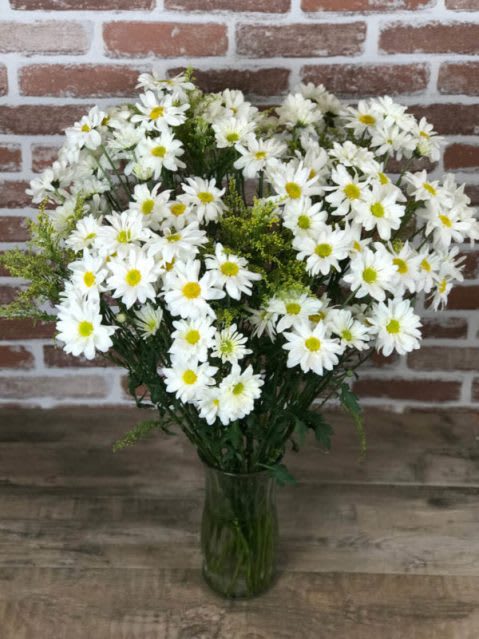 Summer Daisies - 1 Dozen of White Daisies