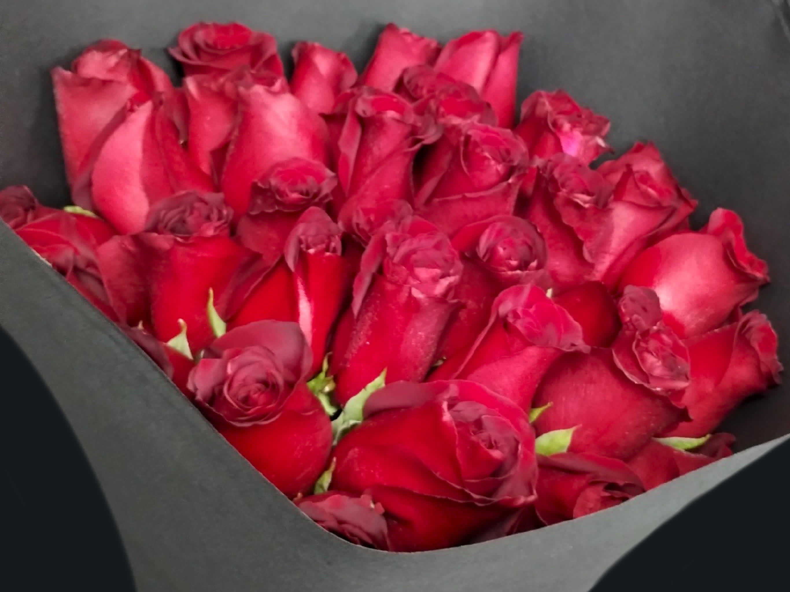 Rossey - 3 Dozens *Paper color may vary