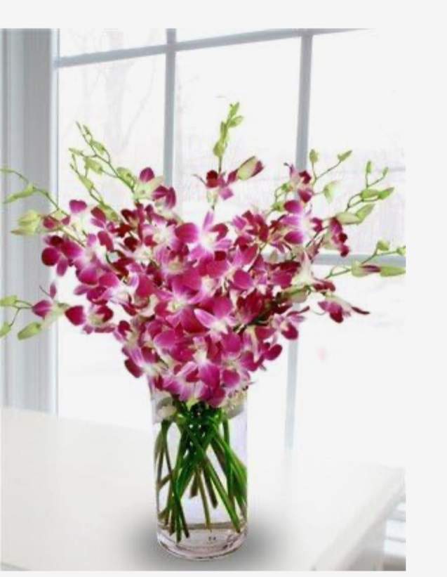 Pink orchids arranged in a clear glass vase