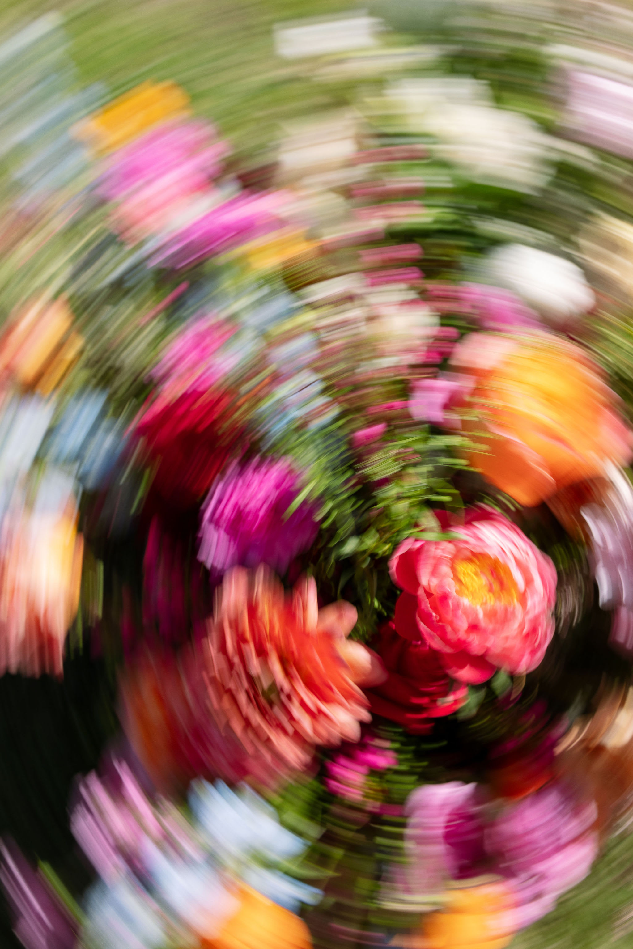Abstract swirl of brightly colored flowers in pink, orange, and other hues.